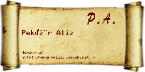 Pekár Aliz névjegykártya